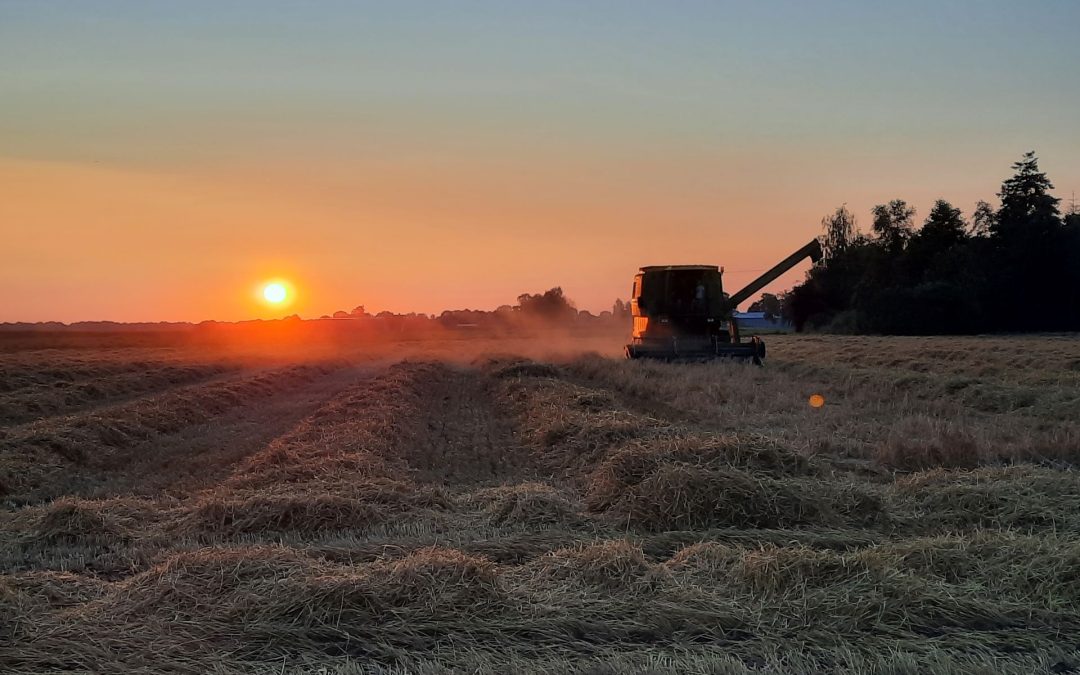 Combinen met ondergaande zon