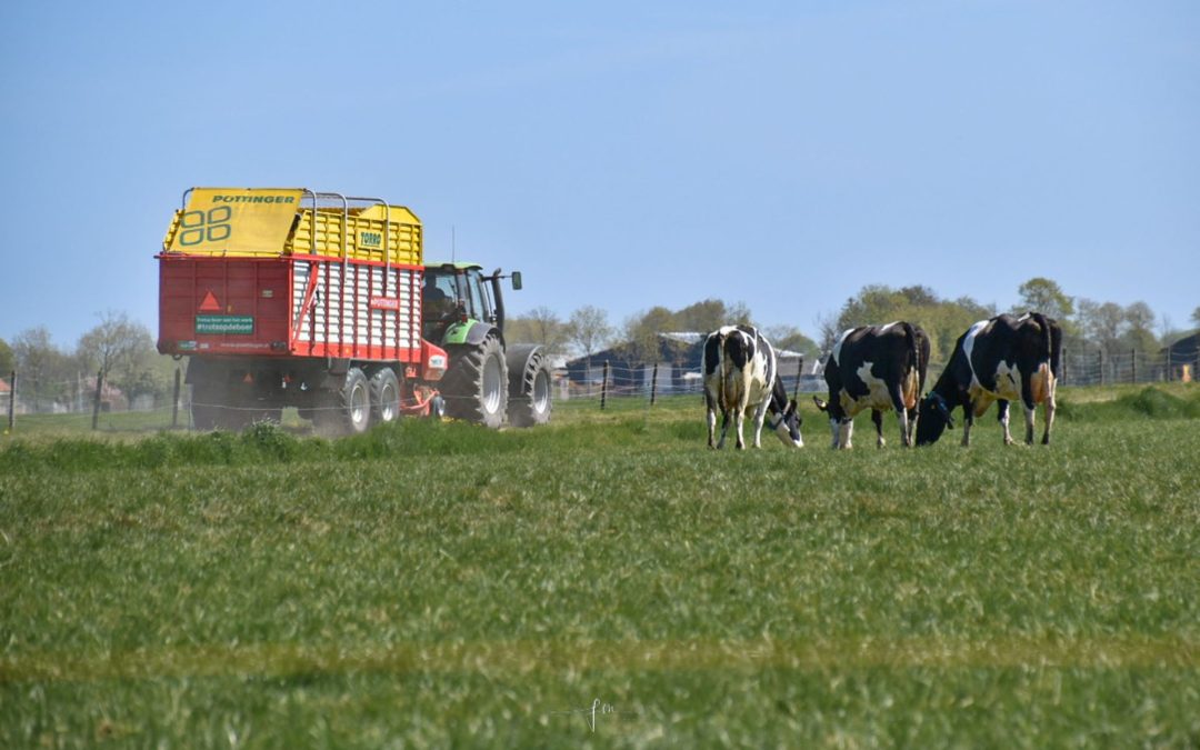 Het boeren landschap