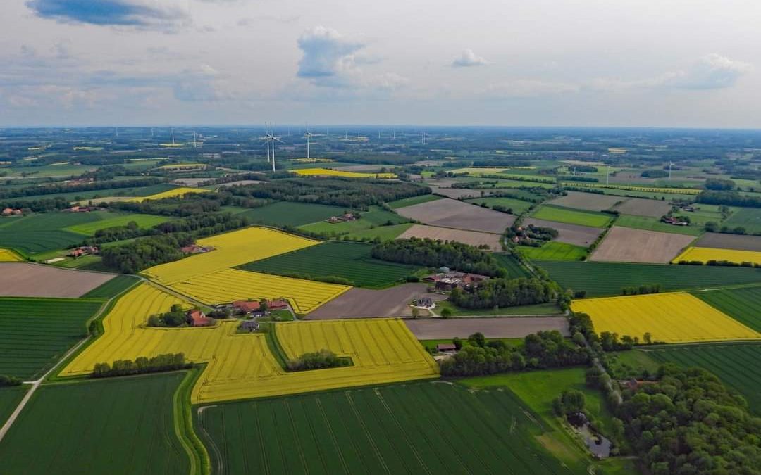 Bloemetjes buiten zetten – Aafje Meerdink