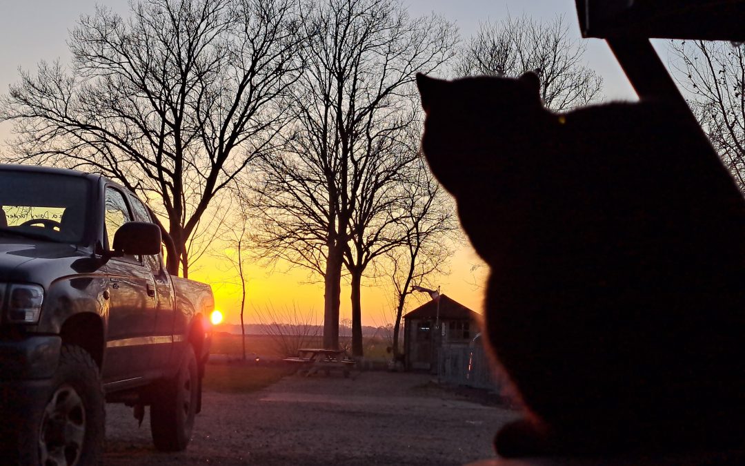 Genieten van de ondergaande zon – Danny van de Streek