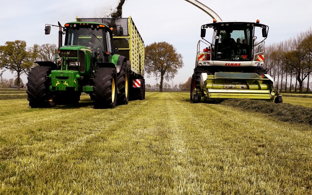 Gras hakselen – Lennard Riphagen