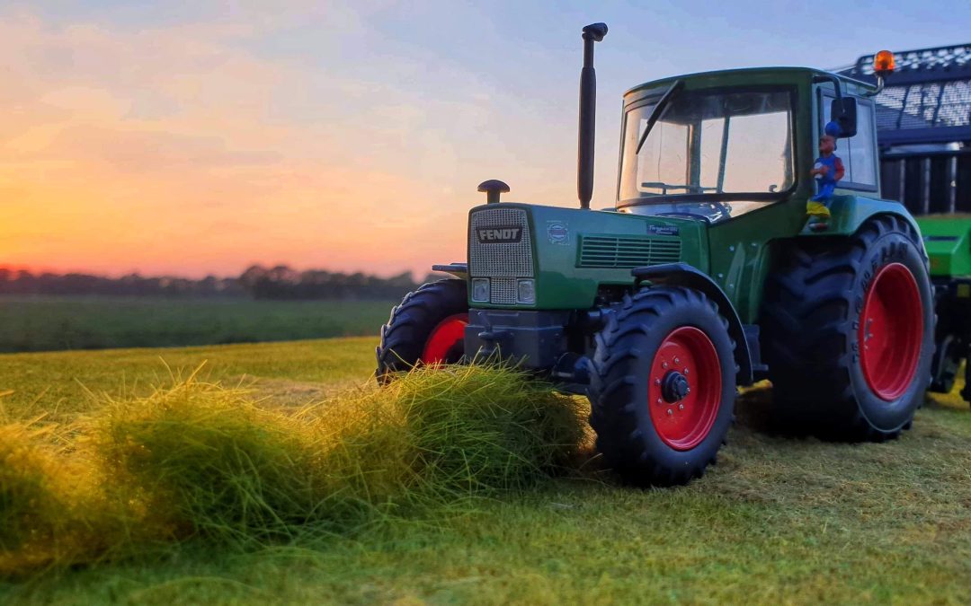 Grasoprapen met zonsondergang – Gerdjan Bos