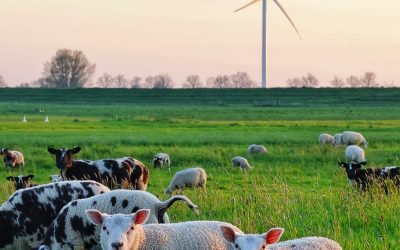 Hollands Uitzicht – Gerlinde Veldkamp