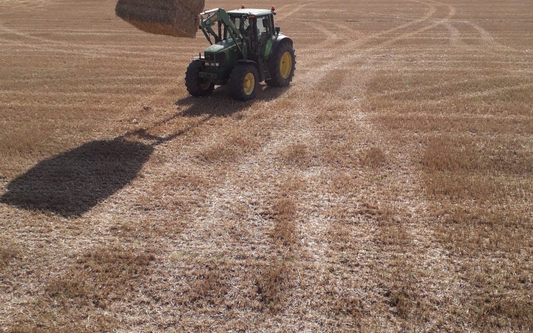 In de polder met John Deere 6820 – Lennard Riphagen