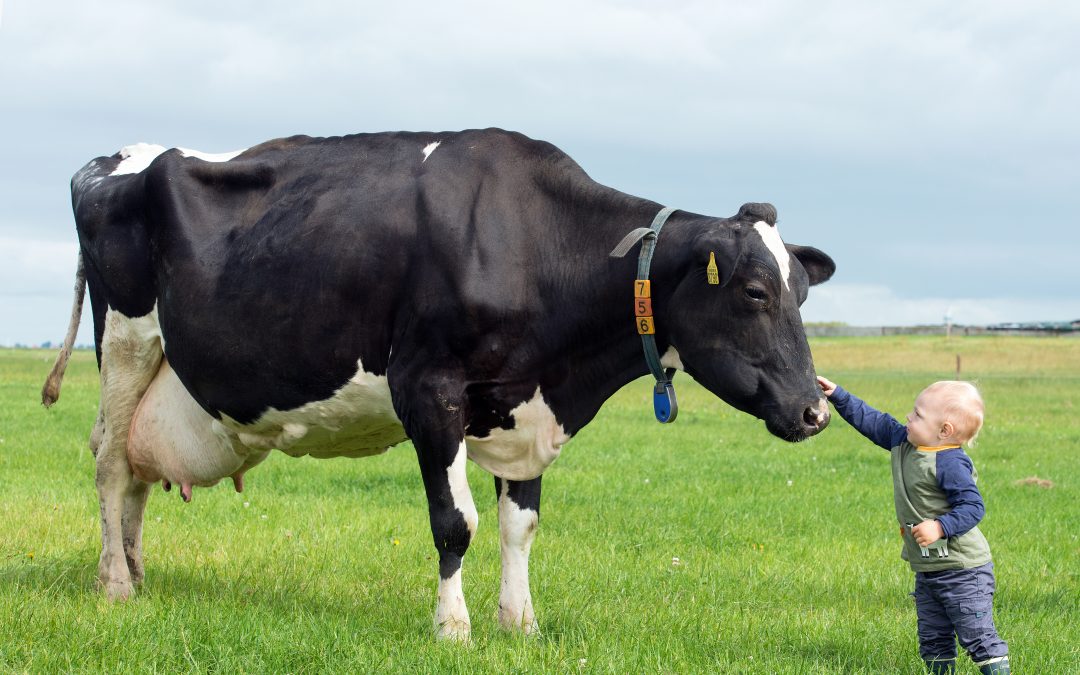 Jonge toekomstige boer – Sjoukje van Warmerdam