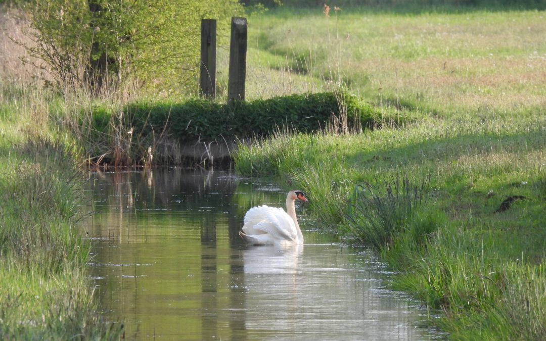 Mooi moment – Sake Leest