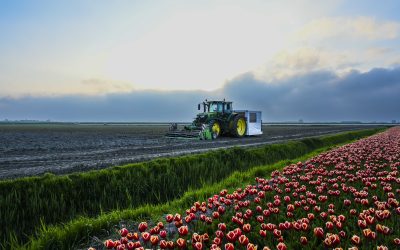 Zonder de tractor kan de boer niet – Ria Scheewe