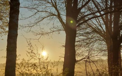 Zonsopgang – Bertine Luttikhedde-Smelt