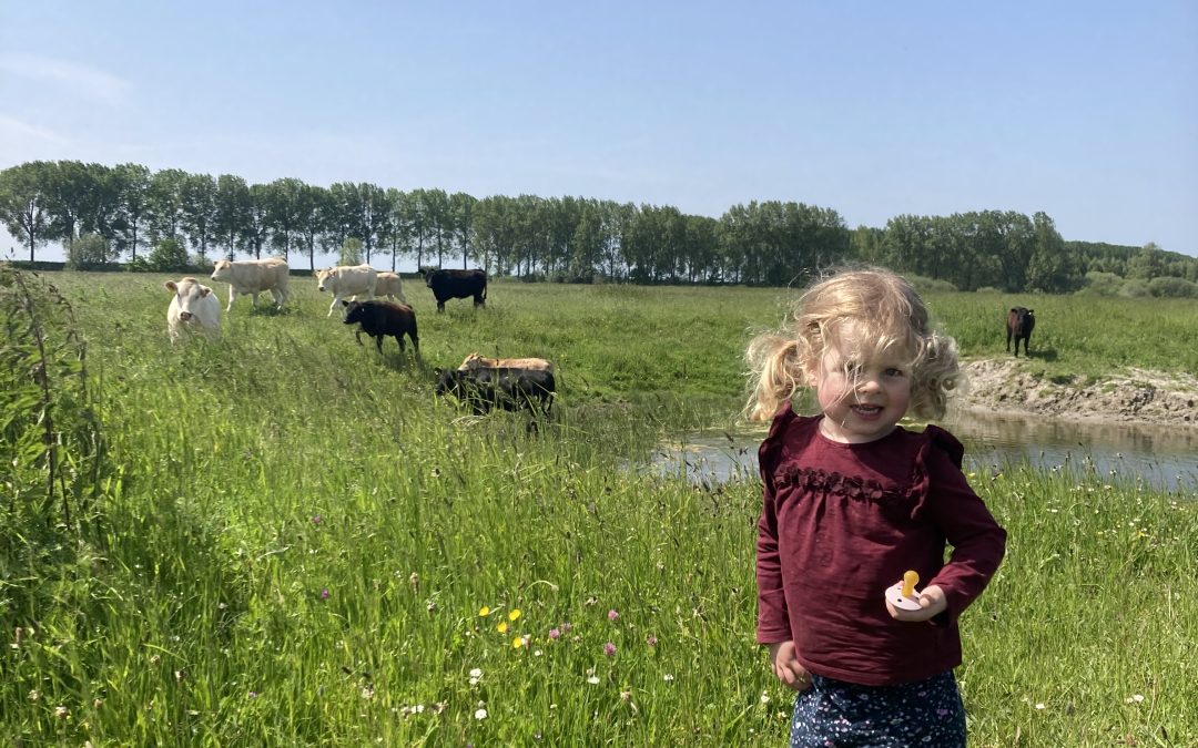 De jeugd heeft de toekomst – Ferdie Maljaars