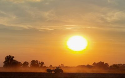 Drukke tijden voor de zon ondergaat – Rianne Foks