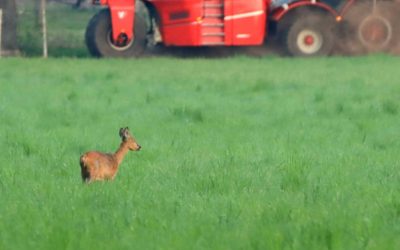 Werkende Helden en toch genieten van de natuur – Adriaan Brinks