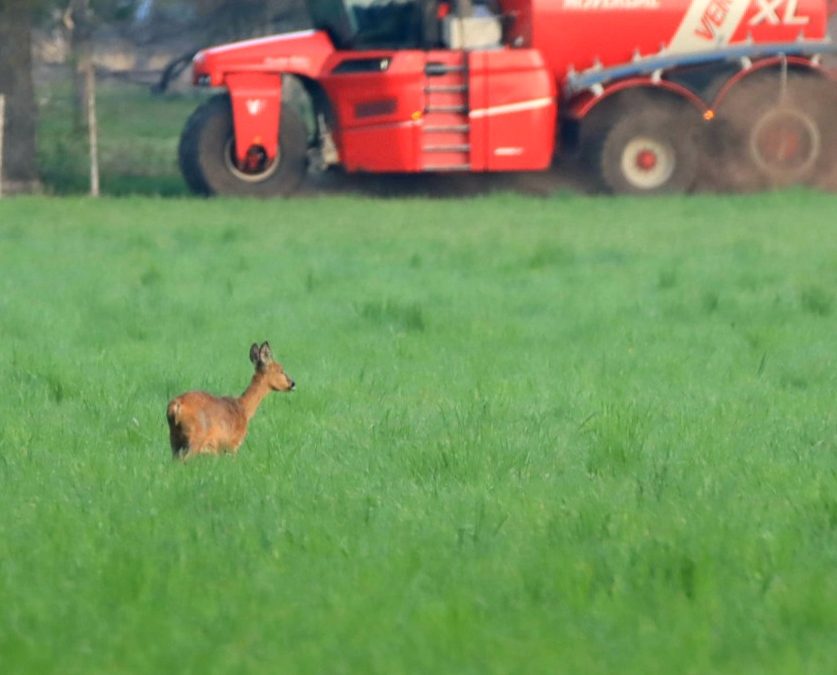 Werkende Helden en toch genieten van de natuur – Adriaan Brinks