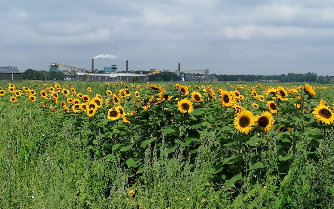 Landbouw en techniek gaan prima samen – Henk Lambers