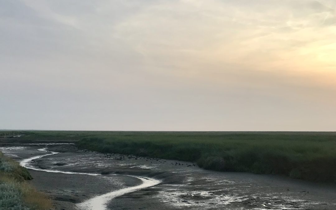 Noordpolderzijl – Cobi ten Boer