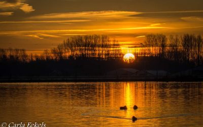 Zonsopkomst – Carla Eekels