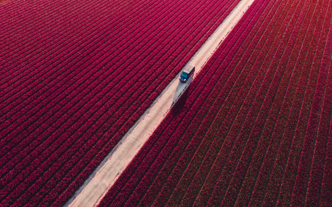 Blooming Delivery – Mike Tesselaar