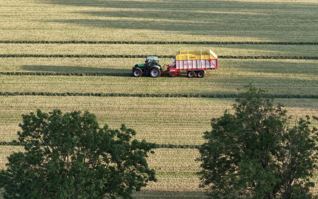 Door in het gras – Fleur Maartje Bakker