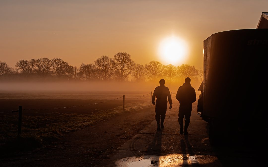 Een zonnige start op de laatste dag – Monique Sutman