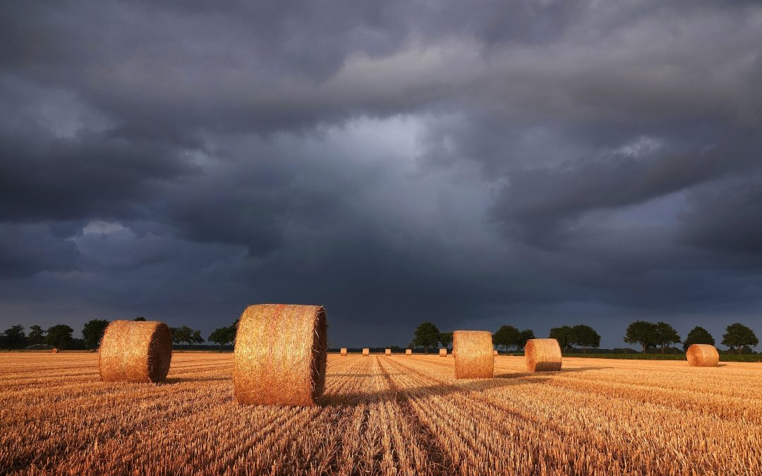 Net voor het onweer… – Willem Slagter