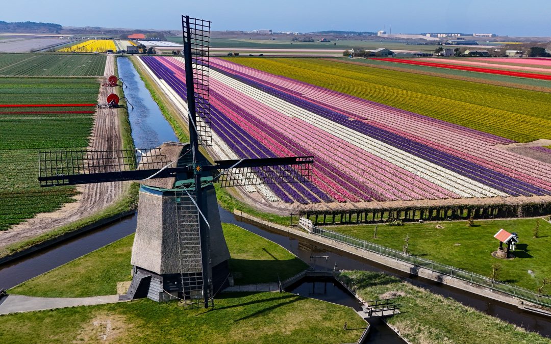Oer-Hollands – Ilse Kootkar