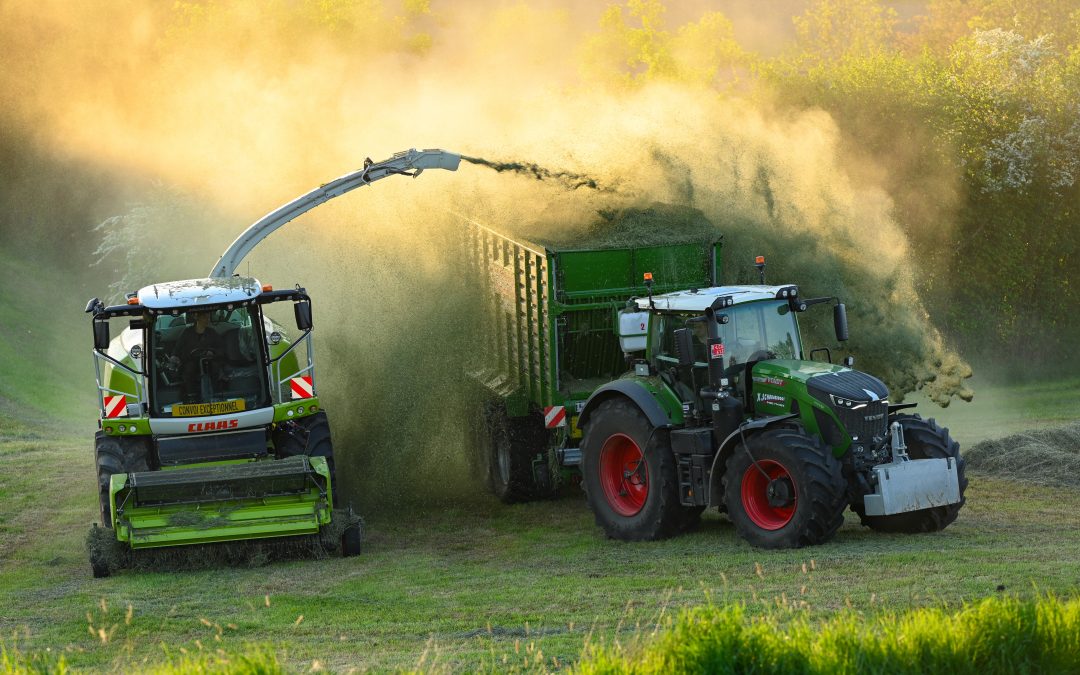 Transport in de avond zon – Jens Kusters